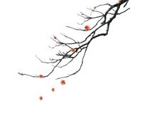 Life 10 - Kanji