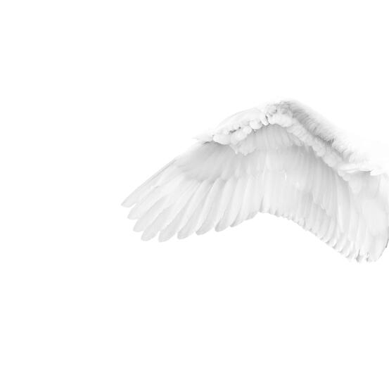 Life 11 - White angel