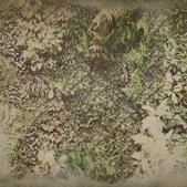 Арт Тапет Life 15 - Vertical Green