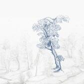 Out Wet 16 - Inner Forest