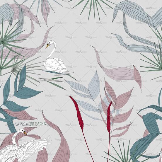 Swan
