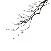 Life 10 - Kanji