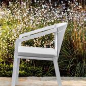 Push P Chair