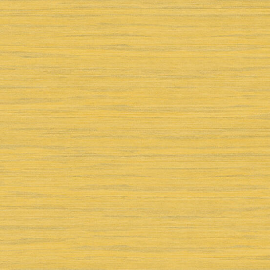 Kata - Shiru