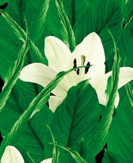 Арт тапет Life 10 - Tropics