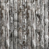 Lifestyle 14A - Pork soda
