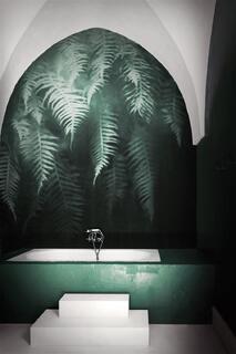 Арт тапет за баня The breath of ferns | 18