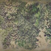 Арт Тапет Life 15 - Vertical Green