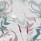 Swan