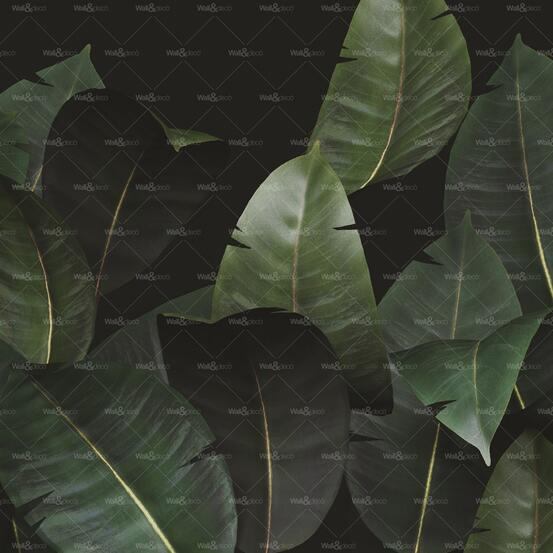 Арт Тапет Zamia
